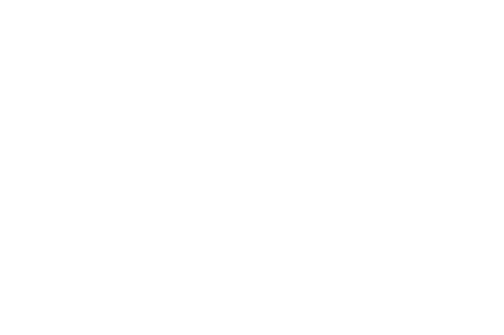 Los Angeles Silver Screen Awards